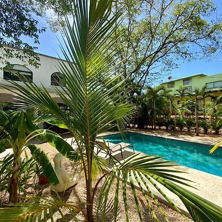 Casa Alice Marbella Lodge エクステリア 写真