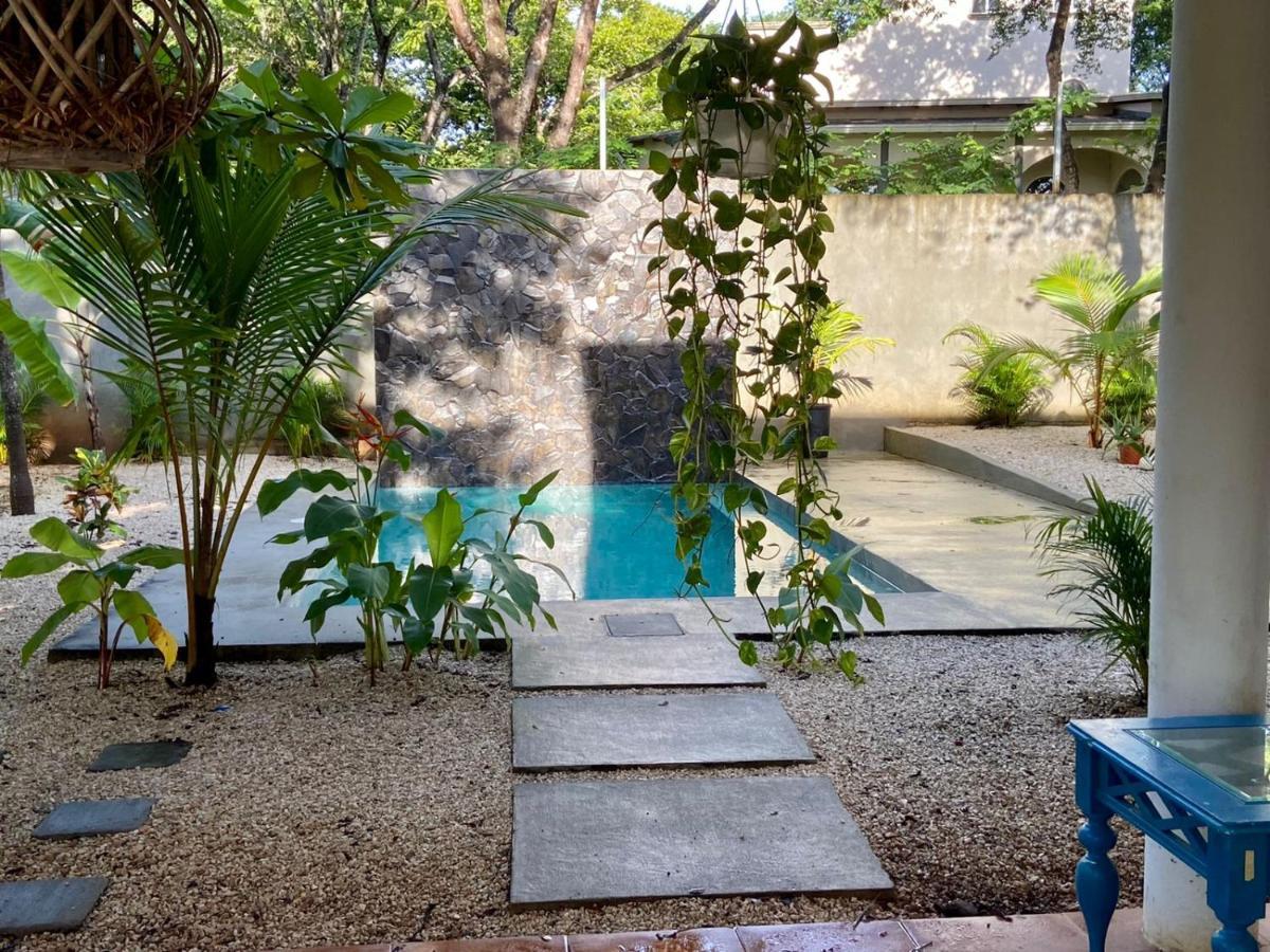 Casa Alice Marbella Lodge エクステリア 写真
