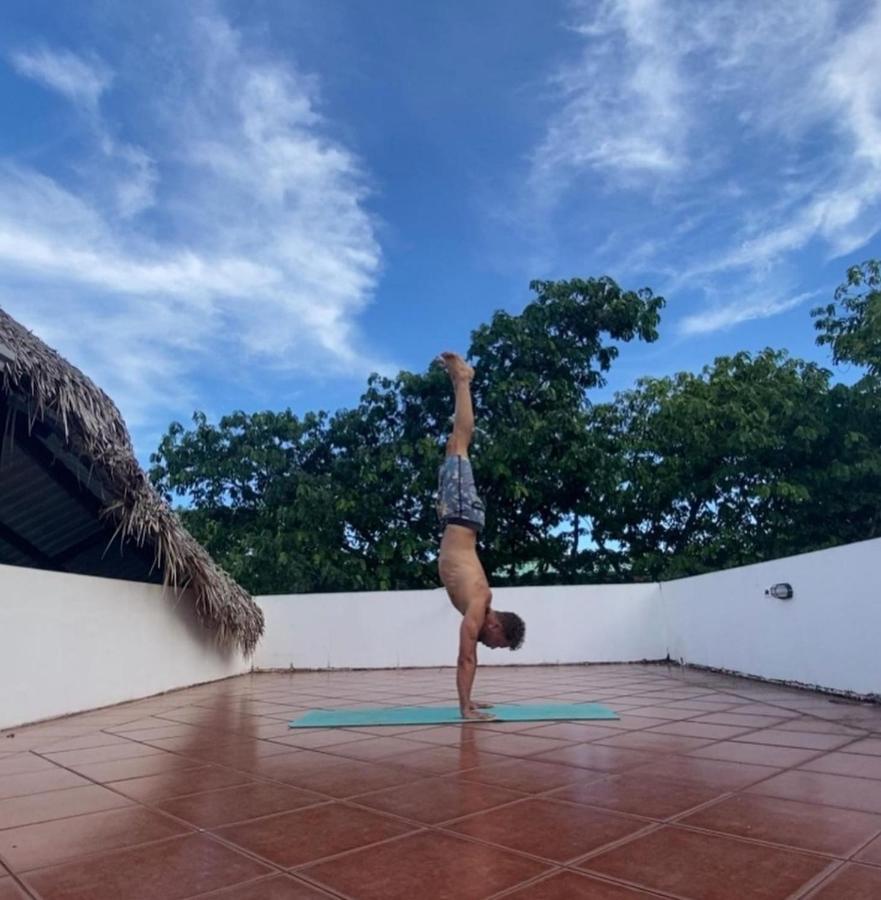 Casa Alice Marbella Lodge エクステリア 写真