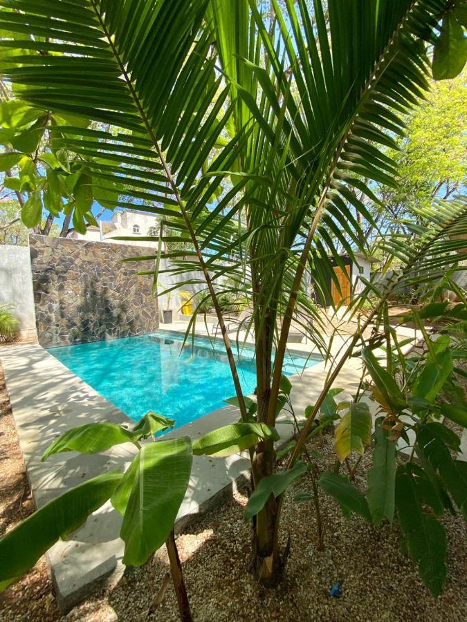Casa Alice Marbella Lodge エクステリア 写真