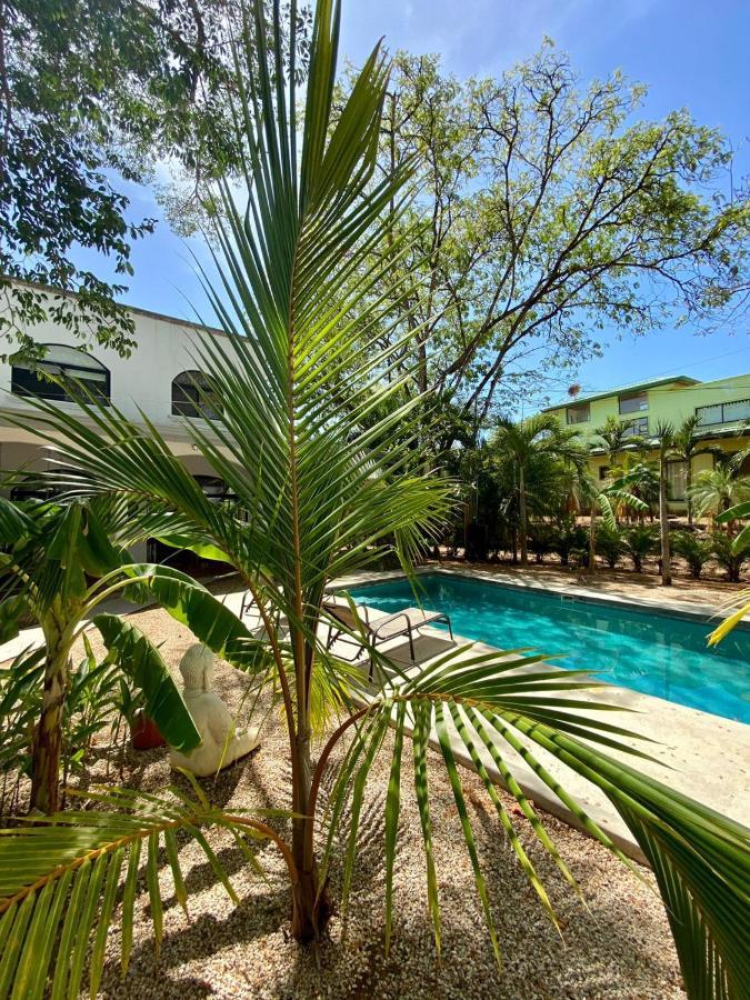 Casa Alice Marbella Lodge エクステリア 写真