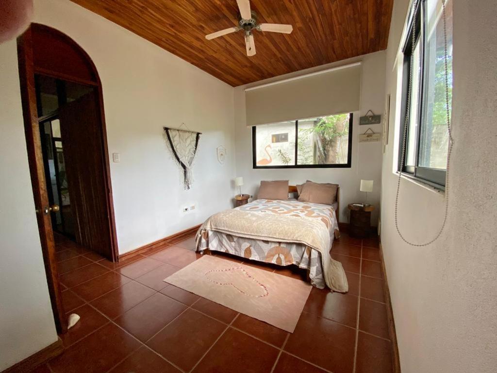 Casa Alice Marbella Lodge エクステリア 写真