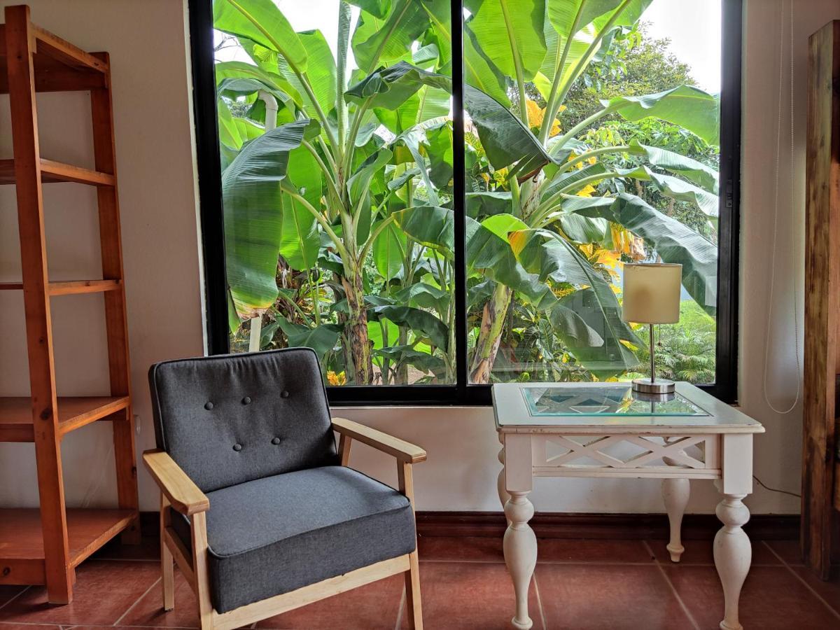 Casa Alice Marbella Lodge エクステリア 写真