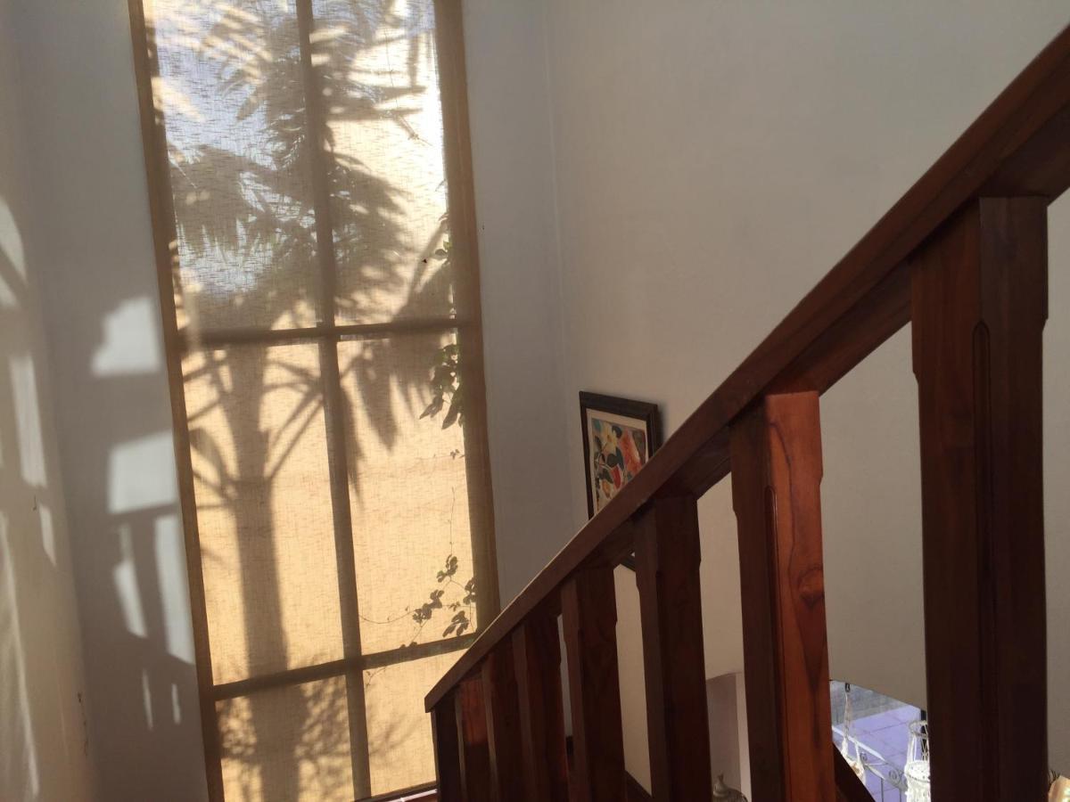 Casa Alice Marbella Lodge エクステリア 写真