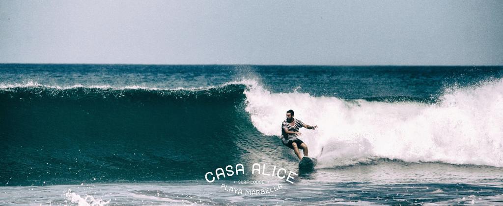 Casa Alice Marbella Lodge エクステリア 写真