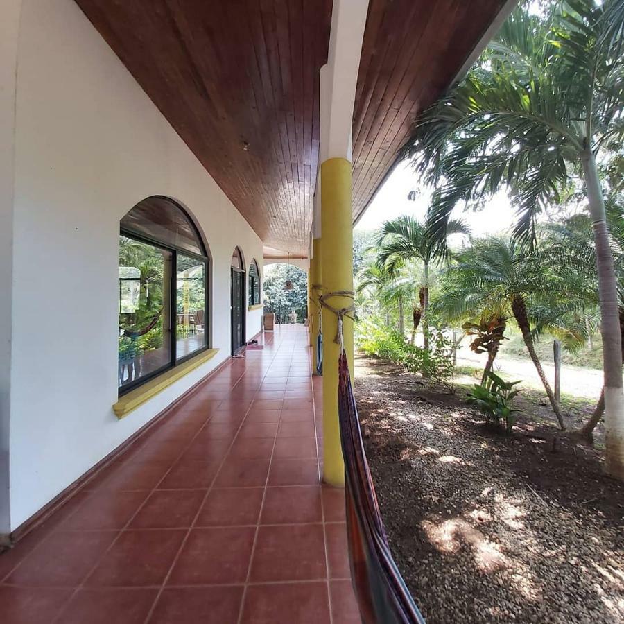 Casa Alice Marbella Lodge エクステリア 写真